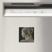 Venus de Milo, details van de achterkant van het h Magneet (Insitu (Vaatwasser))