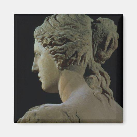 Venus de Milo, details van de achterkant van het h Magneet (Voorkant)