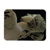 Venus de Milo, details van de achterkant van het h Magneet (Horizontaal)