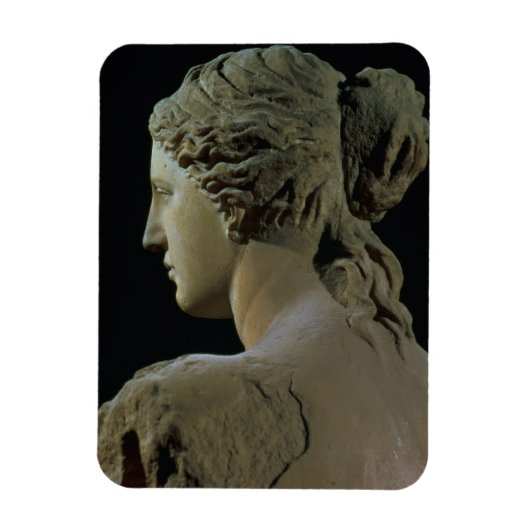 Venus de Milo, details van de achterkant van het h Magneet (Verticaal)