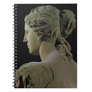 Venus de Milo, details van de achterkant van het h Notitieboek