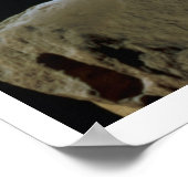 Venus de Milo, details van de achterkant van het h Poster (Hoek)