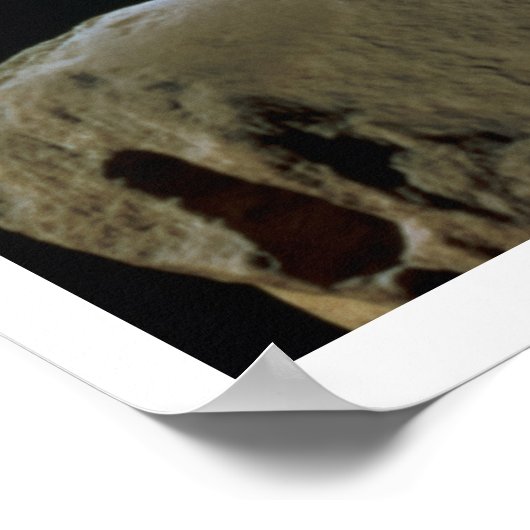 Venus de Milo, details van de achterkant van het h Poster (Hoek)