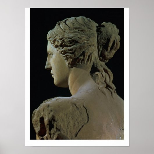 Venus de Milo, details van de achterkant van het h Poster (Voorkant)