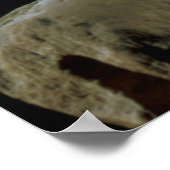 Venus de Milo, details van de achterkant van het h Poster (Hoek)
