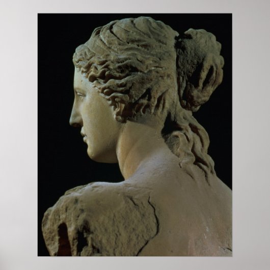 Venus de Milo, details van de achterkant van het h Poster (Voorkant)