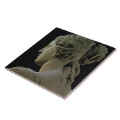 Venus de Milo, details van de achterkant van het h Tegeltje (Zijkant)