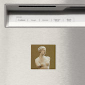 Venus de Milo Magneet (Insitu (Vaatwasser))