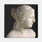 Venus de Milo Magneet (Voorkant)
