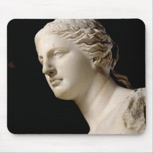 Venus de Milo Muismat