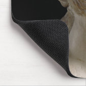 Venus de Milo Muismat (Hoek)