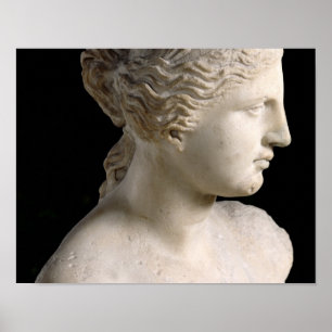 Venus de Milo Poster