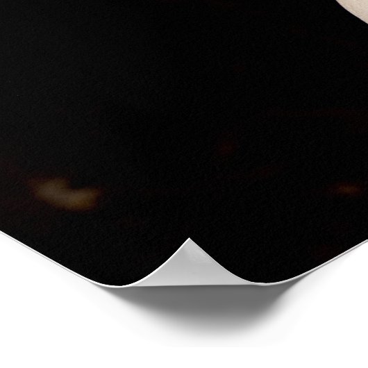 Venus de Milo Poster (Hoek)