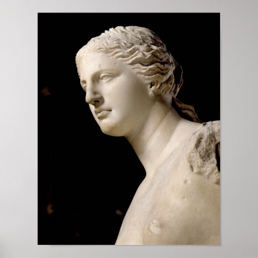 Venus de Milo Poster (Voorkant)