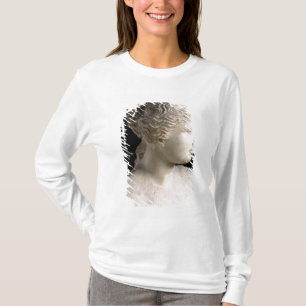 Venus de Milo T-shirt