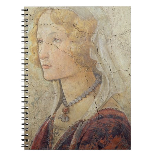 Venus en de drie Graces die Gifts aanbieden aan ee Notitieboek (Voorkant)