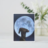 Venus en de Maan Briefkaart (Staand voorkant)