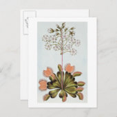 Venus Fly-trap, bord 84, van 'Collectie Precieu Briefkaart (Voorkant / Achterkant)