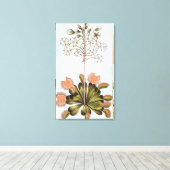 Venus Fly-trap, bord 84, van 'Collectie Precieu Canvas Afdruk (Insitu (Houten vloer))