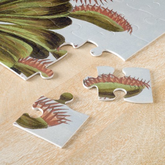 Venus Fly-trap, bord 84, van 'Collectie Precieu' Legpuzzel (Zijkant)