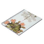 Venus Fly-trap, bord 84, van 'Collectie Precieu' Notitieboek (Linkerzijde)