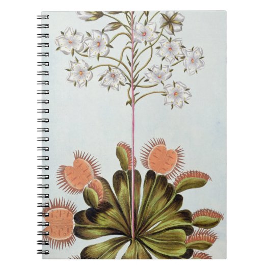 Venus Fly-trap, bord 84, van 'Collectie Precieu' Notitieboek (Voorkant)