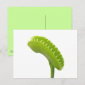 Venus Fly Trap Briefkaart (Voorkant / Achterkant)