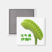 Venus Fly Trap Magneet (Voorkant / Achterkant)