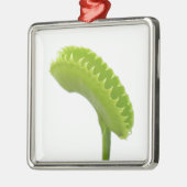 Venus Fly Trap Metalen Ornament (Links)