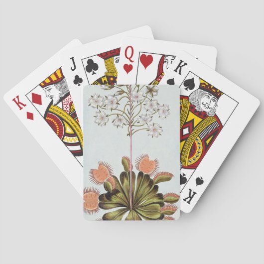 Venus Fly-trap, plaat 84, uit 'Collection Precieu Pokerkaarten (Achterkant)