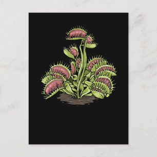 Venus Fly Trap Plant Carnivoren Plant Venus Fly Briefkaart