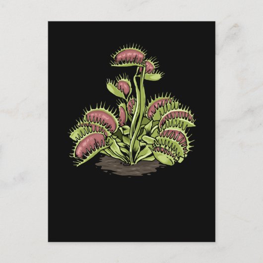 Venus Fly Trap Plant Carnivoren Plant Venus Fly Briefkaart (Voorkant)