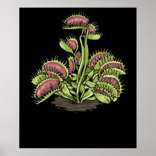 Venus Fly Trap Plant Carnivoren Plant Venus Fly Poster