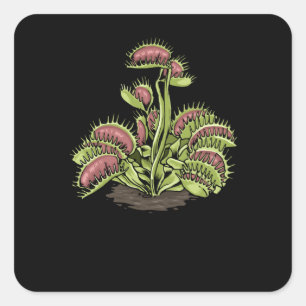 Venus Fly Trap Plant Carnivoren Plant Venus Fly Vierkante Sticker