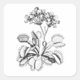 Venus Flytrap Art Sticker
