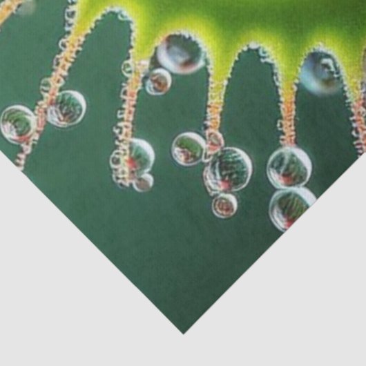 Venus Flytrap Floral Whimsical Fun Wild Tissuepapier (Detail)