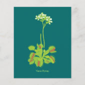 Venus Flytrap Flyer (Achterkant)