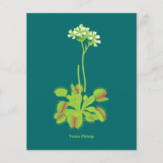 Venus Flytrap Flyer (Achterkant)