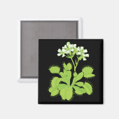 Venus Flytrap Magneet (Voorkant / Achterkant)
