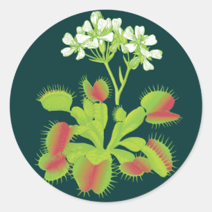 Venus Flytrap-Plant Ronde Sticker
