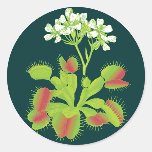 Venus Flytrap-Plant Ronde Sticker (Voorkant)