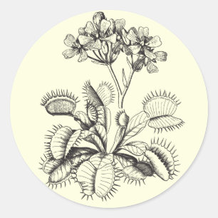 Venus Flytrap-Sticker Ronde Sticker