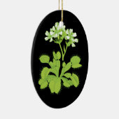 Venus Flytraps Ornament (Rechts)
