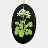 Venus Flytraps Ornament (Links)