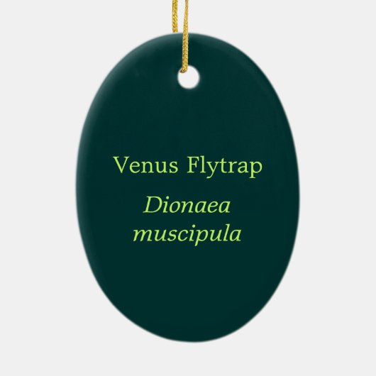 Venus Flytraps Ornament (Achterkant)