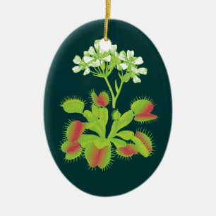 Venus Flyval Botanical Art Ornament