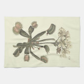 Venus Flyval Botanical Illustratie Theedoek (Horizontaal)