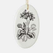 Venus Flyval  Botanical Ornament (Rechts)