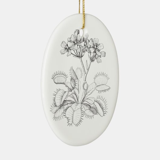 Venus Flyval  Botanical Ornament (Rechts)