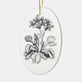 Venus Flyval  Botanical Ornament (Links)